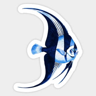 Angelfish Sticker